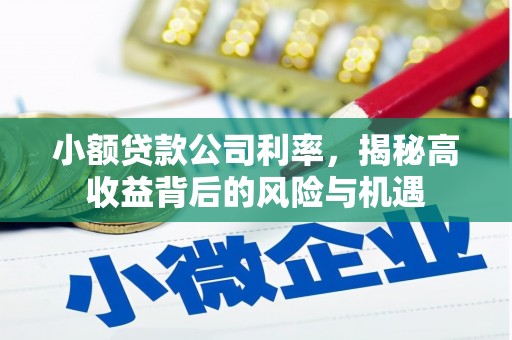 石拐小额贷款公司利率，揭秘高收益背后的风险与机遇
