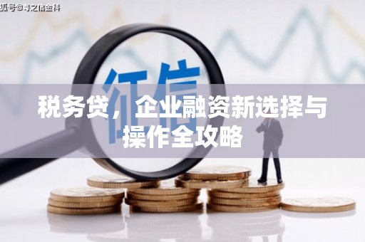 石拐税务贷，企业融资新选择与操作全攻略