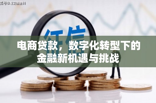 石拐电商贷款，数字化转型下的金融新机遇与挑战