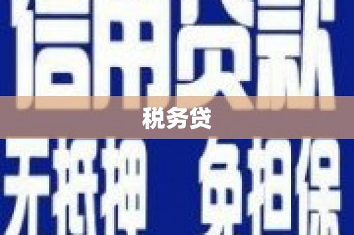 石拐税务贷