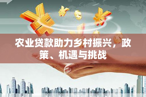 石拐农业贷款助力乡村振兴，政策、机遇与挑战