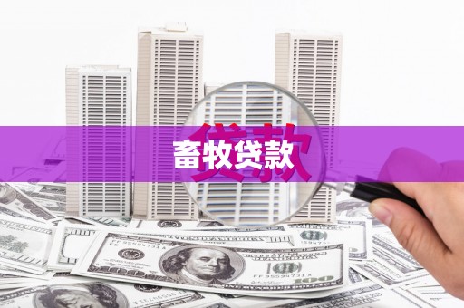 石拐畜牧贷款