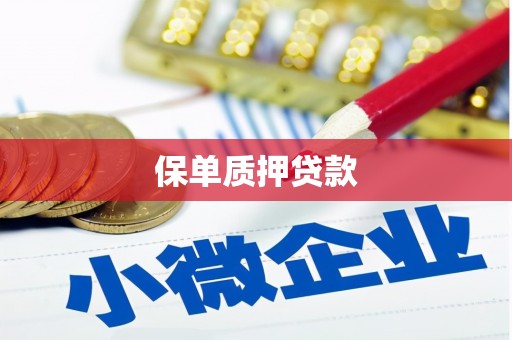 石拐保单质押贷款
