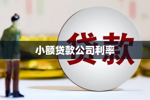 石拐小额贷款公司利率