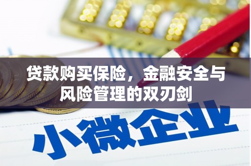 石拐贷款购买保险，金融安全与风险管理的双刃剑