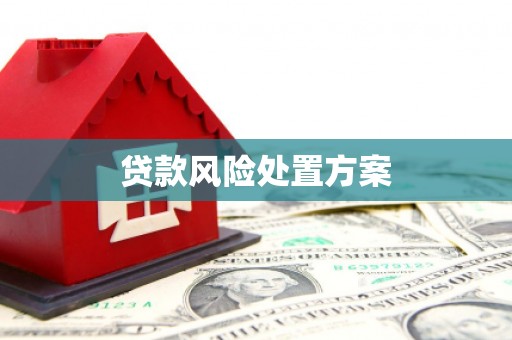 石拐贷款风险处置方案
