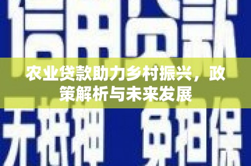 石拐农业贷款助力乡村振兴，政策解析与未来发展