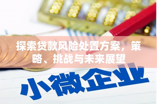 石拐探索贷款风险处置方案，策略、挑战与未来展望