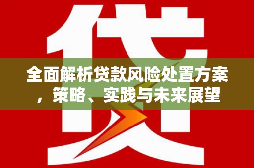 石拐全面解析贷款风险处置方案，策略、实践与未来展望