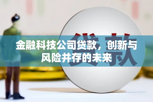 石拐金融科技公司贷款，创新与风险并存的未来