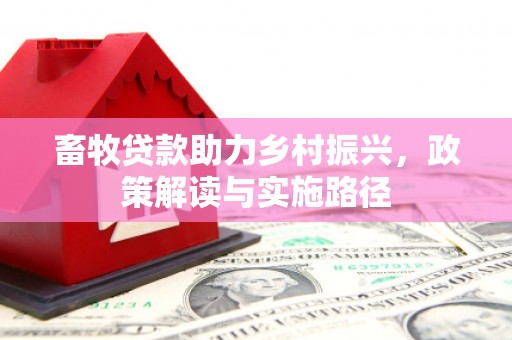 石拐畜牧贷款助力乡村振兴，政策解读与实施路径