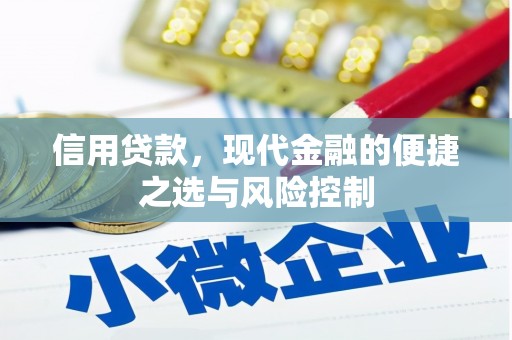石拐信用贷款，现代金融的便捷之选与风险控制