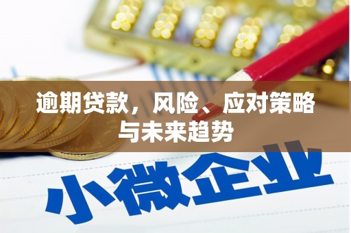 石拐逾期贷款，风险、应对策略与未来趋势