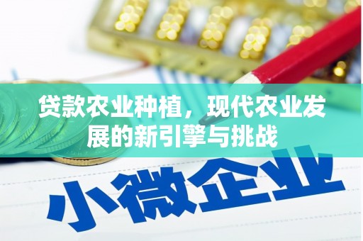 石拐贷款农业种植，现代农业发展的新引擎与挑战