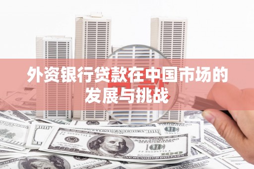 石拐外资银行贷款在中国市场的发展与挑战
