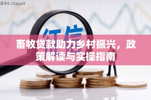 石拐畜牧贷款助力乡村振兴，政策解读与实操指南