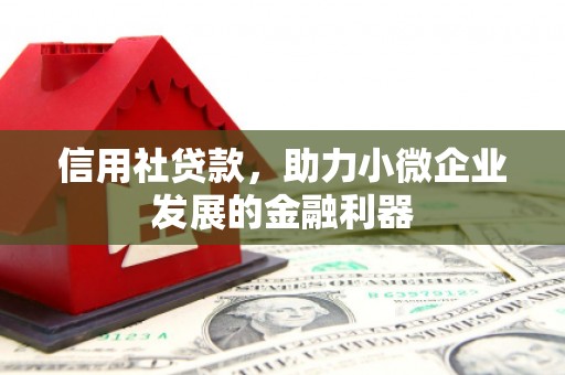 石拐信用社贷款，助力小微企业发展的金融利器