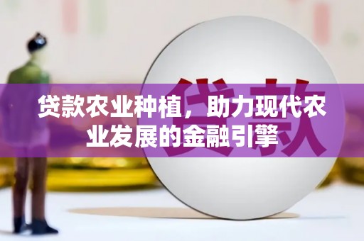石拐贷款农业种植，助力现代农业发展的金融引擎