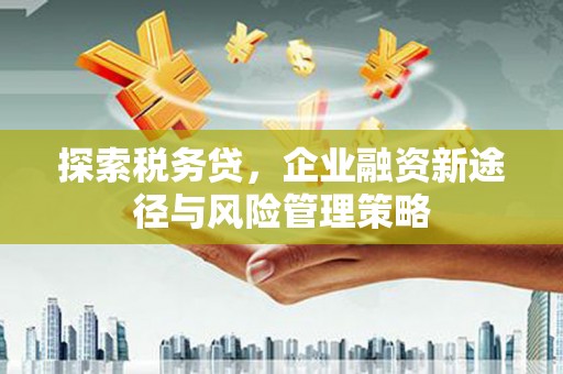 石拐探索税务贷，企业融资新途径与风险管理策略