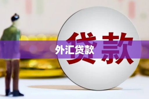 石拐外汇贷款