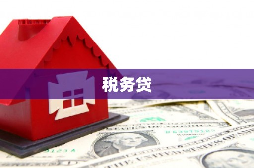石拐税务贷