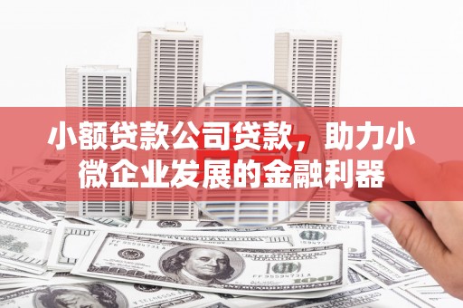 石拐小额贷款公司贷款，助力小微企业发展的金融利器