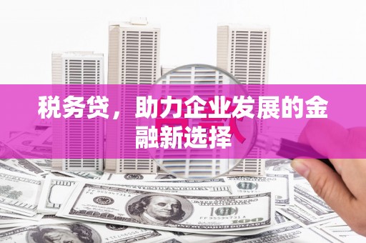 石拐税务贷，助力企业发展的金融新选择