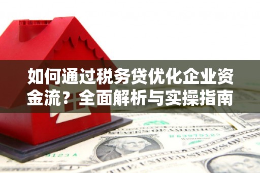 石拐如何通过税务贷优化企业资金流？全面解析与实操指南