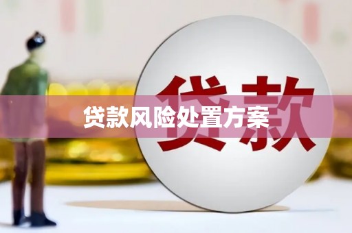 石拐贷款风险处置方案