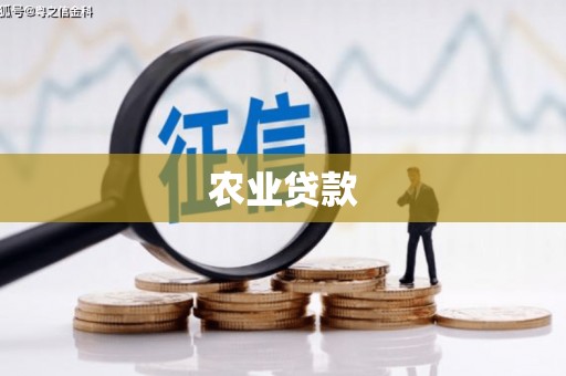 石拐农业贷款