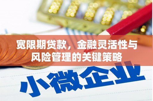 石拐宽限期贷款，金融灵活性与风险管理的关键策略
