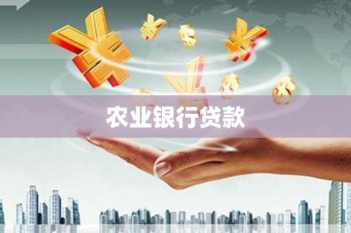 石拐农业银行贷款