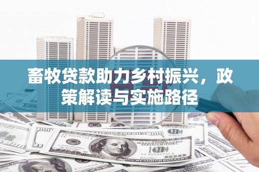 石拐畜牧贷款助力乡村振兴，政策解读与实施路径