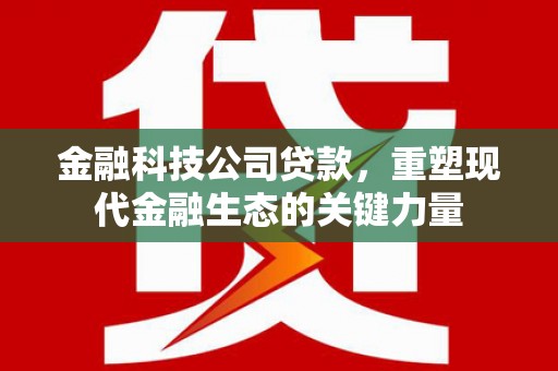 石拐金融科技公司贷款，重塑现代金融生态的关键力量