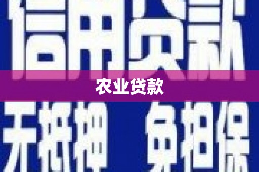 石拐农业贷款