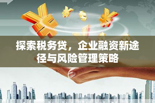 石拐探索税务贷，企业融资新途径与风险管理策略