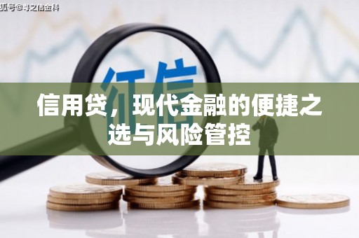 石拐信用贷，现代金融的便捷之选与风险管控