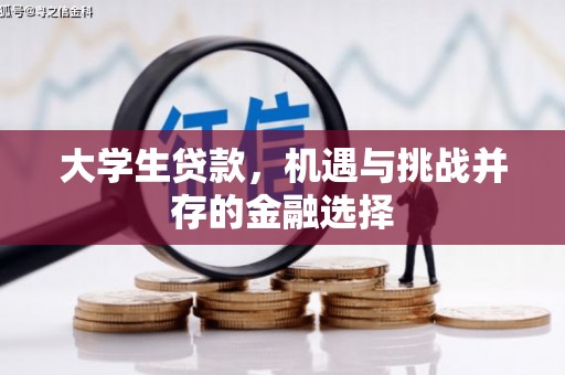 石拐大学生贷款，机遇与挑战并存的金融选择