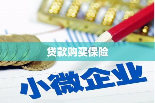 石拐贷款购买保险